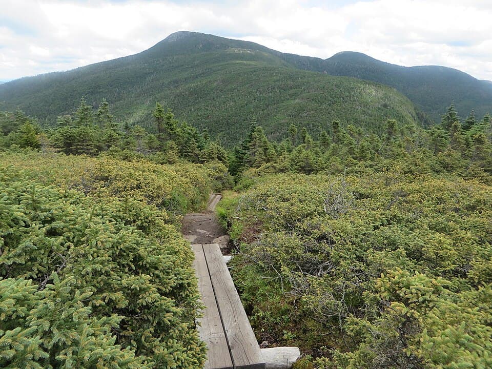 Goose Eye Mountain from the Appalachian Trail in the Mahoosuc Range